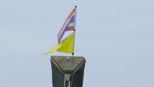 Flag Whipping Wind Sitting Top Boat — Stockvideo