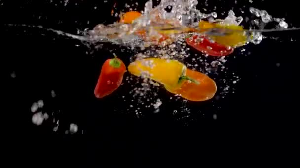 Colorful Sweet Peppers Being Dropped Water Slow Motion — Stock video