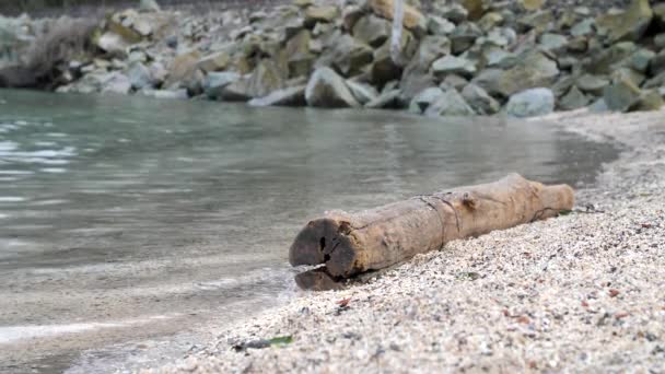 Log Beach Waves Rolling — Video