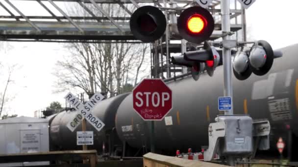 Active Railroad Crossing Sign Train Passing Background — Stok video