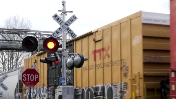 Активный Знак Пересечения Железной Дороги Проездом Поезда Заднем Плане — стоковое видео