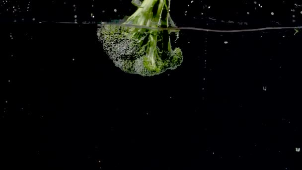 Colorful Branch Broccoli Being Dropped Water Slow Motion — Vídeo de stock