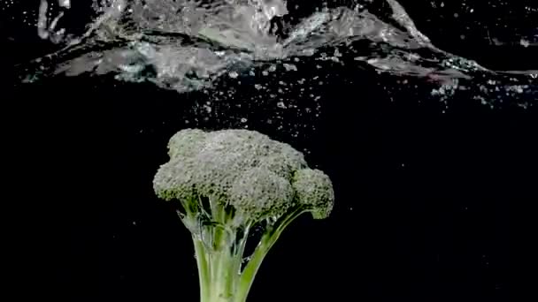 Барвиста Гілка Брокколі Падає Воду Повільному Русі — стокове відео