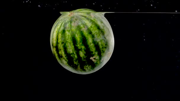 Beautiful Watermelon Being Dropped Water Slow Motion — Stock video