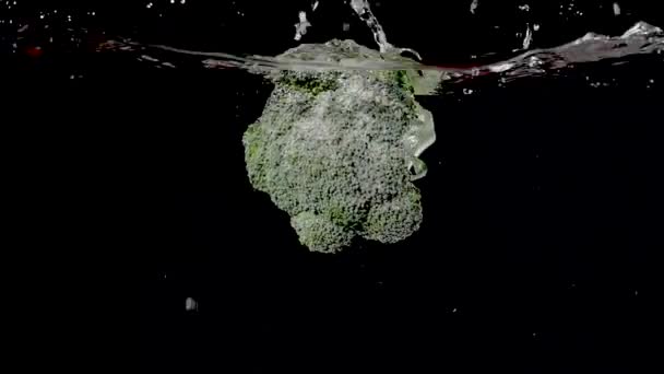 Colorful Branch Broccoli Being Dropped Water Slow Motion — Vídeo de stock