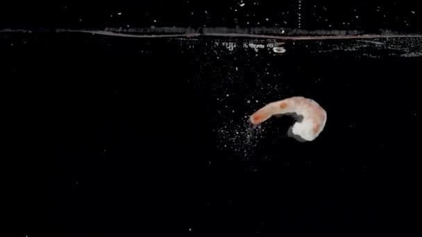 Яскраві Креветки Падають Воду Повільному Русі — стокове відео