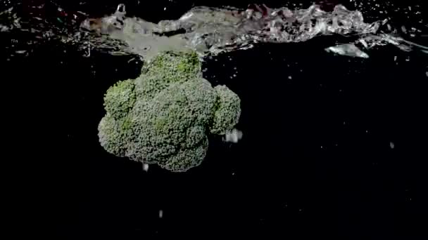 Colorful Piece Broccoli Being Dropped Water Slow Motion — Stok video