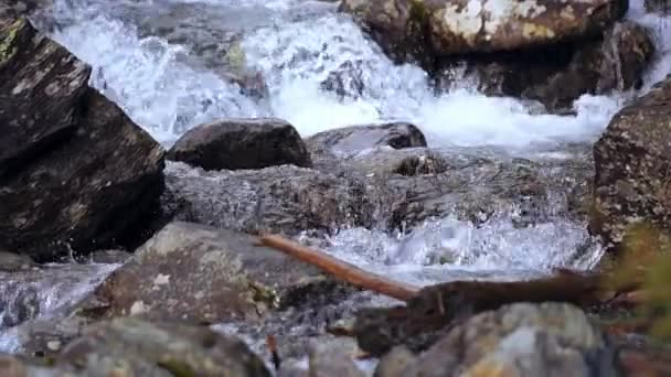 Slow Motion Wild Mountain Stream Flowing Rocks Close Shot — Vídeos de Stock