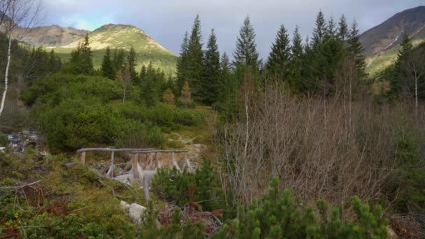 Colourful Fairytale Mountain Scenery Valley Stream Wooden Bridge West Tatras — Vídeos de Stock