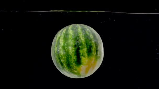 Vibrant Watermelon Being Dropped Water Slow Motion — Wideo stockowe