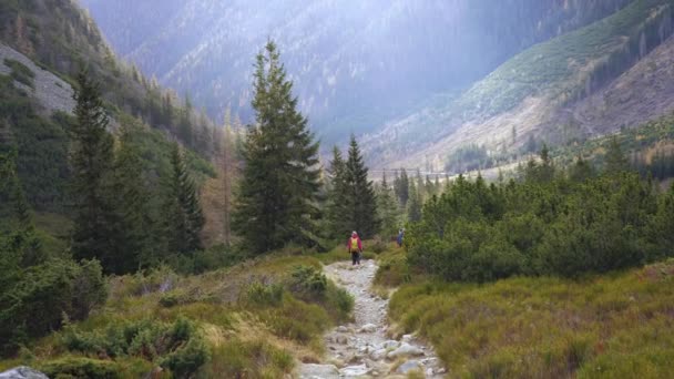 Tourist Girl Backpack Tourist Path Beautiful Mountain Valley High Tatras — Vídeo de Stock