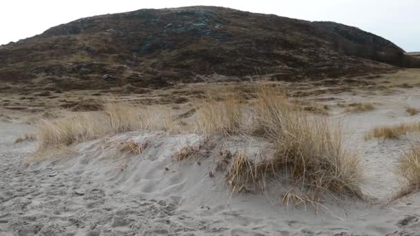 Footage Beach Spring West Coast Norway — Wideo stockowe