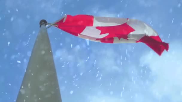 Canada Flag Blowing Winter Snowflakes — Video Stock
