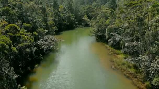 Aerial River Middle Rainforest Madagascar — Stockvideo