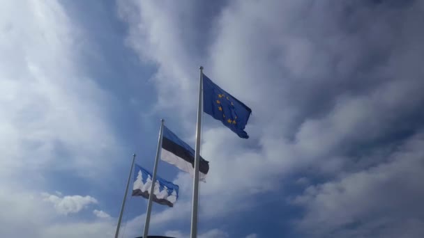 Estonian Flag Europe Union — Stockvideo