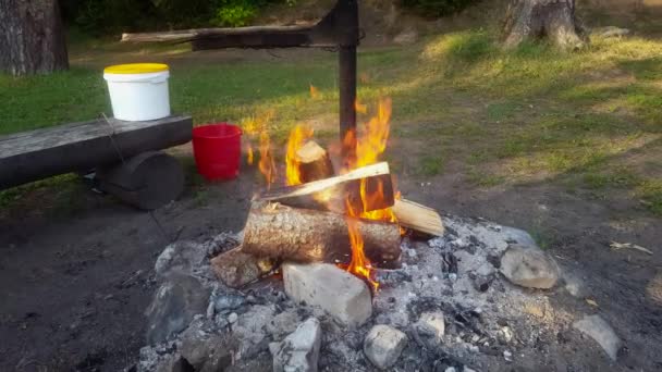 Small Bonfire Estonian Forest — Stockvideo