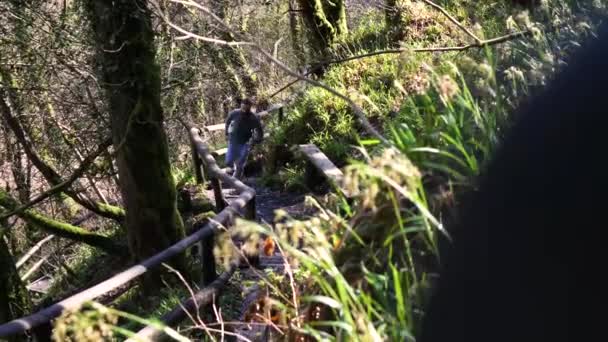 Slow Motion Young Bearded Man Running Carved Forest Path — Vídeo de Stock