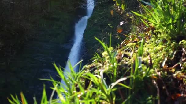 Молодий Чоловік Біжить Лісовим Водоспадом — стокове відео