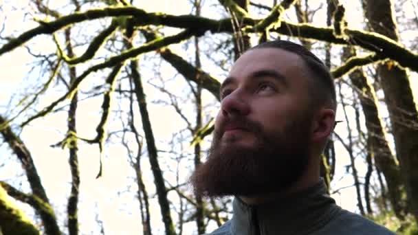 Headshot Young Bearded Man Amidst Beautiful Nature — Stock video