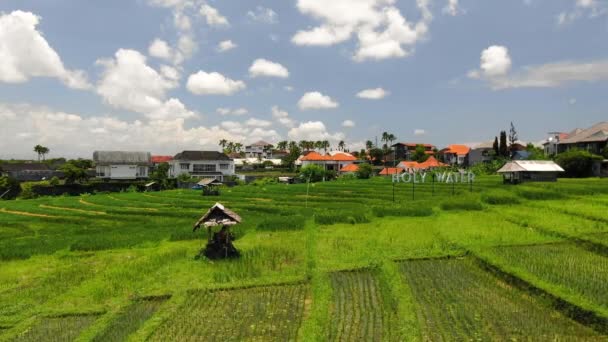 Aerial Shot Small Hut People Relaxing Middle Rice Paddies Including — Stockvideo