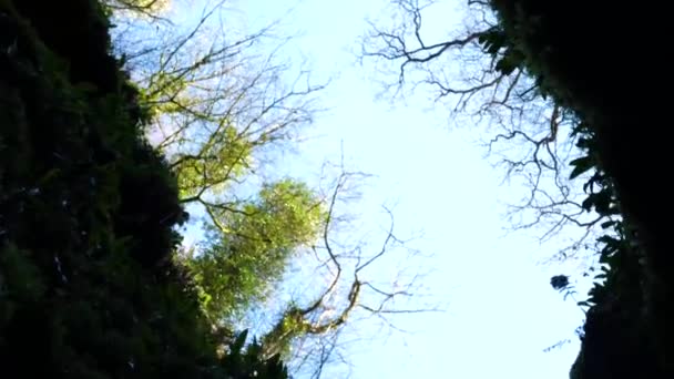 View Sky Small Ravine — Stockvideo