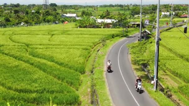 Aerial View Couple Riding Motorcycle Winding Road Canggu Bali Indonesia — Stock videók