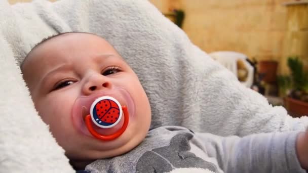 Close Cute Baby Sucking Ladybug Pacifier While Watching Camera — Stock Video