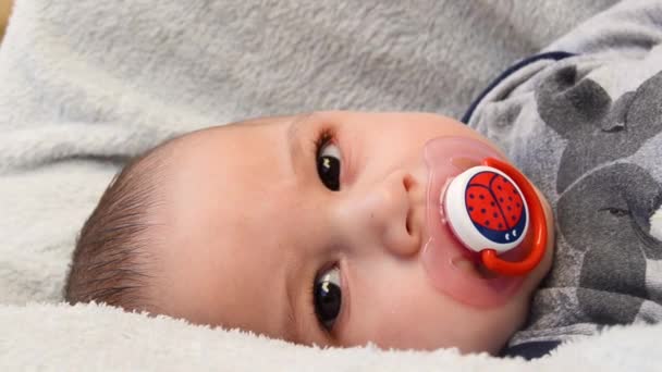 Close Cute Baby Stroller While Sucking Pacifier Watching Camera — Stock video