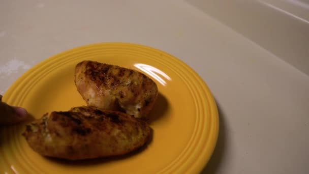 Cooked Grill Chicken Being Served Plate — Vídeo de Stock