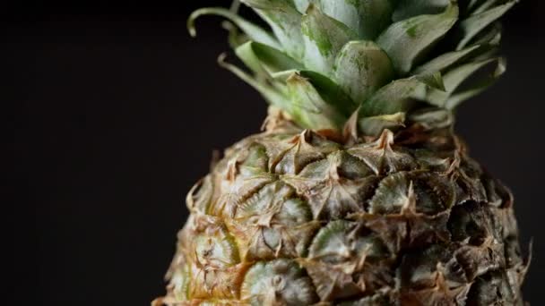 Isolated Pineapple Fruit Black Background Rotating Screen — Vídeo de Stock