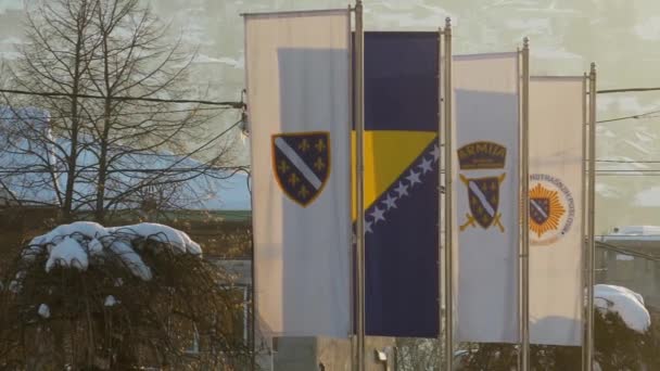 Flags Bosnia Herzegovina Its Army Displayed Metal Poles — Stockvideo