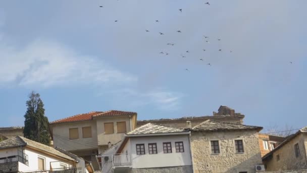 Flock Birds Flying Modern Houses Mostar Bosnia Herzegovina — Stockvideo