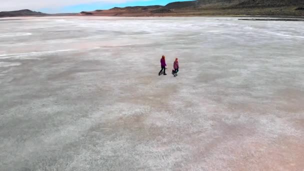 Aerial Low Level Rotating Pan Mother Daughter Dog Walking Desolate — Stockvideo