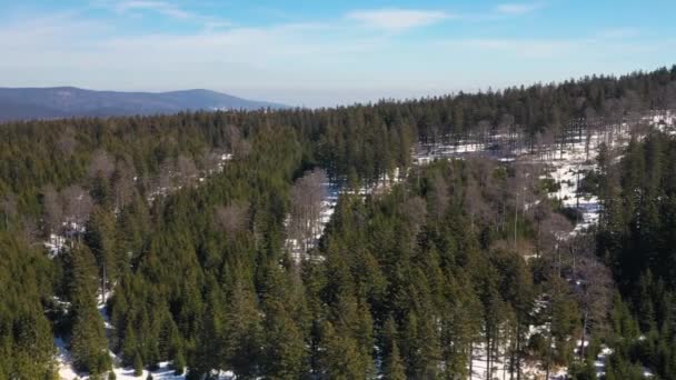 Aerial View One Hills Durmitor Montenegro Which Covered Trees — Vídeos de Stock