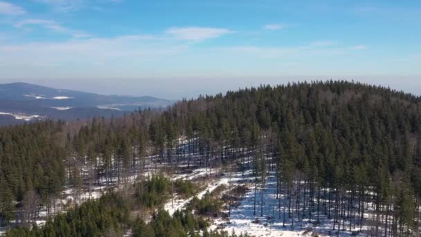 Extreme Long Shot Crno Jezero Zabljak Montenegro — Stockvideo