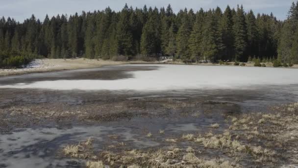 Birds Eye View Black Lake Zabljak Montenegro — Stockvideo