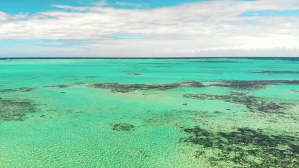 Αεροφωτογραφία Του Κοραλλιογενή Ύφαλο Κοντά Στις Ακτές Της Μαδαγασκάρης Ινδικός — Αρχείο Βίντεο