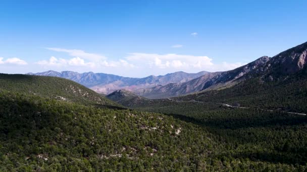 Aerial Drone Flight Trees Mountains Day Time — Vídeos de Stock