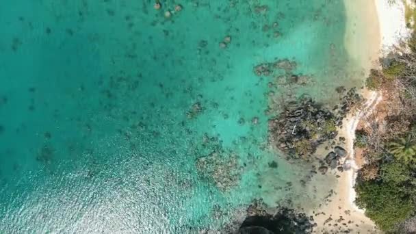 Aerial View Tropical Paradise Beach Fly Azure Water Palm Trees — 图库视频影像