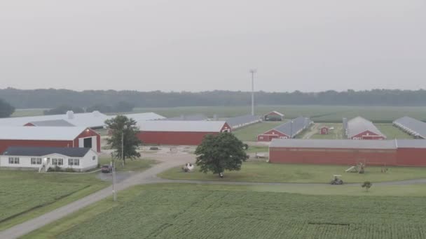 Middelmatige Opname Van Vroege Ochtend Een Boerderij — Stockvideo