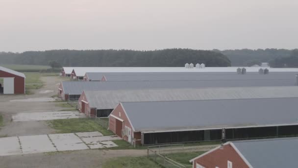 Medium Shot Farmhouses Barns — Stockvideo