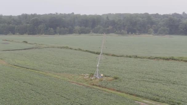 Schwenkclip Der Luftaufnahme Des Bewaldeten Berges — Stockvideo