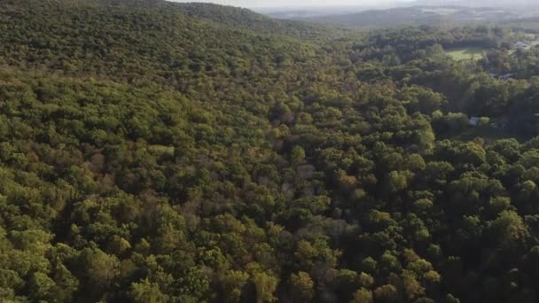 Panning Aerial Shot Forest Horizon — Stockvideo