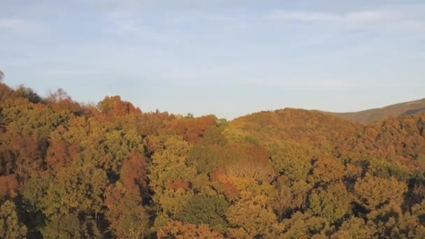 Luftaufnahme Von Hügeln Mit Dichten Wäldern — Stockvideo