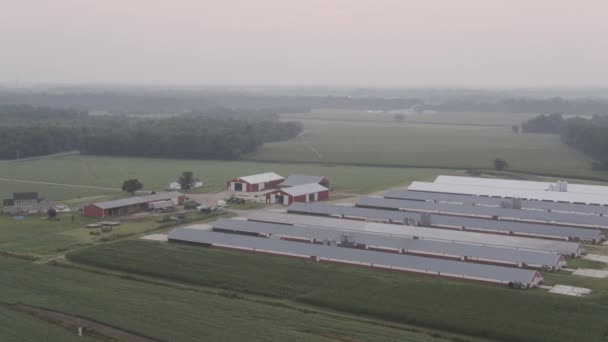 Closing Aerial View Morning Farm — Stockvideo