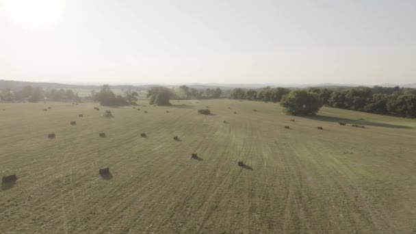 Aerial Clip Harvested Cleared Fields — Video Stock