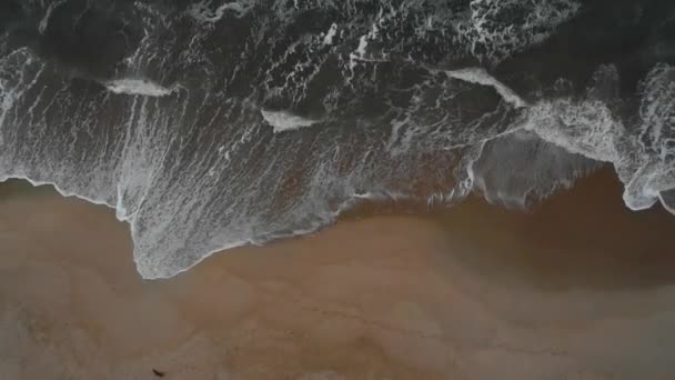 Вид Пляж Высоты Птичьего Полета — стоковое видео