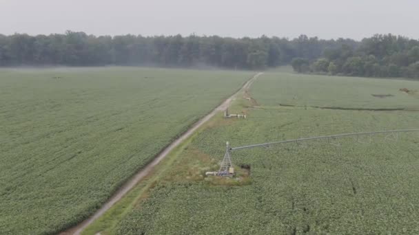 Luftaufnahme Einer Bewässerungsanlage Einem Bauernhof — Stockvideo