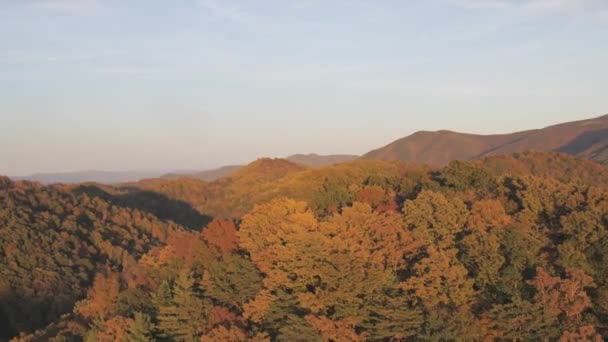 Clip Panorámico Vista Aérea Montaña Boscosa — Vídeos de Stock