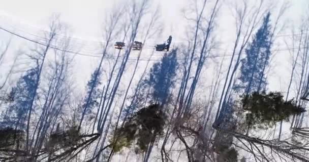 Aerial View Sled Being Pulled Dogs — 비디오